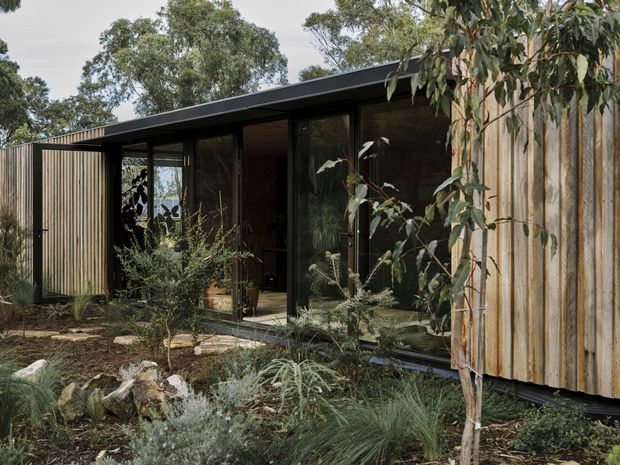 A low, modern single-storey building set within a natural landscaped garden. The facade combines extensive dark-framed glazing with vertical timber cladding and a slim dark roof, creating a strong connection between the interior and surrounding planting. Native-style grasses, shrubs, rocks, and mature trees frame the foreground and partially obscure the building.