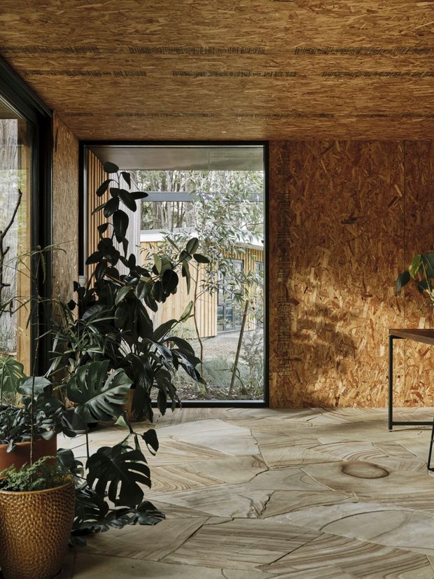 A compact, nature-inspired interior lined in exposed oriented strand board (OSB) across the walls and ceiling. Large black-framed glazing opens the room toward a planted courtyard and timber-clad exterior. The floor is finished with irregular pale stone or concrete slabs, while abundant indoor plants create a lush organic atmosphere. A minimalist black-framed console is partially visible at right.