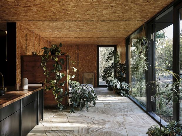 A warm, plant-filled open-plan interior with a dark kitchen island at left, extensive floor-to-ceiling black-framed glazing along the right wall, and a timber-textured ceiling and walls. The floor is finished in large pale stone tiles with pronounced flowing veining. A timber storage cabinet and numerous indoor plants occupy the central area, creating a natural, biophilic atmosphere.