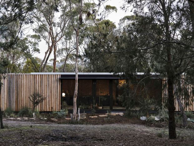 A low, single-storey contemporary residence nestled among mature bushland, viewed from the front through native trees. The building has a dark glazed central entry or living zone framed by a projecting flat roof, with warm vertical timber screening and cladding extending across the facade. A sparse native landscape and exposed ground reinforce the secluded bush setting.