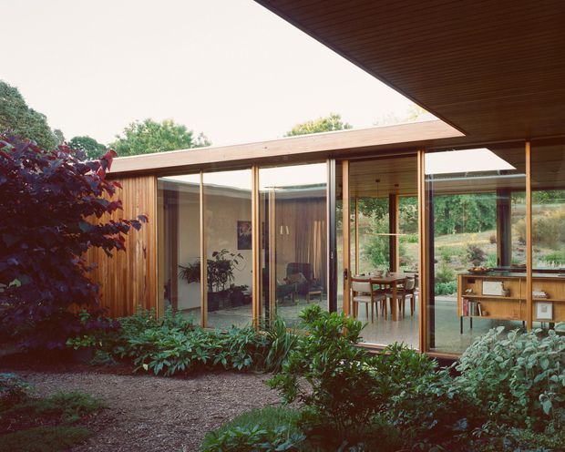 A low-slung modern residential house arranged around a landscaped courtyard or garden. Extensive floor-to-ceiling glazing, warm timber-clad walls and soffits, slender timber window frames, and strong horizontal roof planes create a seamless connection between the interior dining and living areas and the planted outdoor space. The composition highlights the house exterior and its courtyard-facing facade.