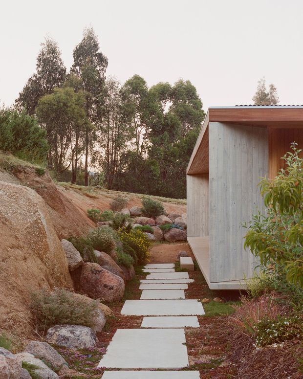 Exterior view of a compact modern building set into a landscaped, rocky site. The facade combines smooth exposed concrete with warm timber soffits and trim beneath a low corrugated roof edge. A stepping-stone concrete path runs through native-style planting and large natural boulders alongside the structure, with a wooded backdrop.
