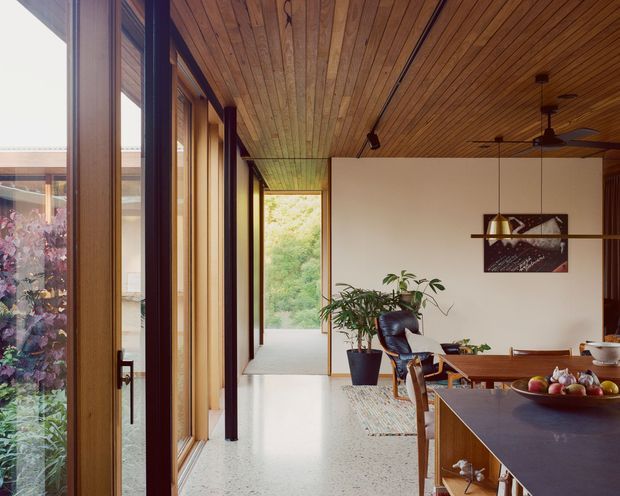 A warm, open-plan modern interior viewed along a glazed corridor beside a dining and kitchen area. Full-height timber-framed glazing lines the left side, while a timber-lined ceiling extends through the space with recessed and pendant lighting and a ceiling fan. The dining area includes a timber table and chairs, a dark stone or composite kitchen benchtop in the foreground, indoor plants, and timber cabinetry. The space opens toward a leafy outlook and has a calm, natural material palette.