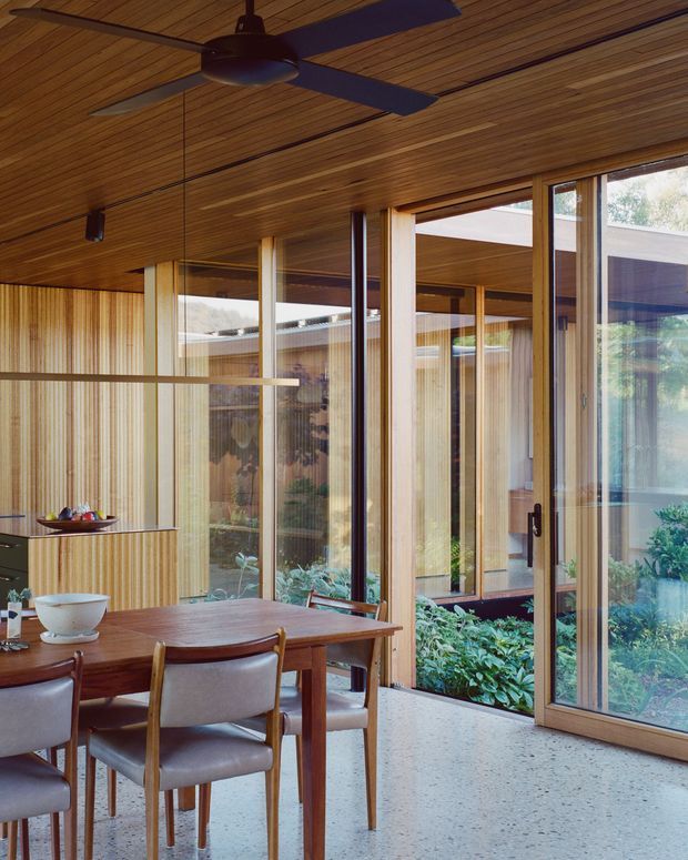 A warm, mid-century-inspired dining area with a timber-lined ceiling and vertical timber wall panelling. A wood dining table with upholstered chairs sits beside extensive floor-to-ceiling timber-framed glazing and glass doors opening toward a planted courtyard. A large dark ceiling fan and slim linear light are integrated into the timber ceiling, while a pale terrazzo-like floor provides contrast.