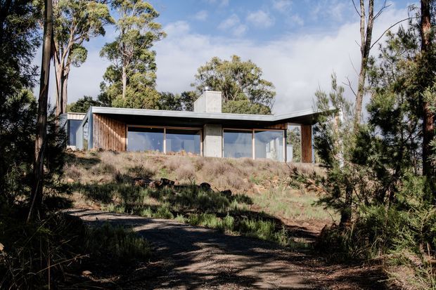 A low, single-storey modern house nestled among eucalyptus trees on a lightly sloped, bushland site. The home has a broad flat roof with a central concrete chimney or vertical concrete element, extensive floor-to-ceiling glazing, timber-clad wall sections, and a natural, partially landscaped foreground path.