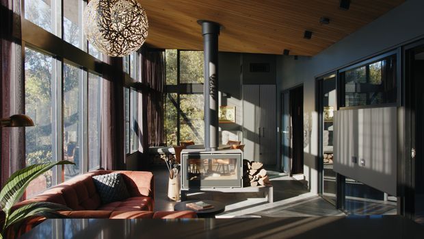 A sunlit contemporary living room with floor-to-ceiling glazing, a central freestanding wood-burning stove, warm timber ceiling, dark-framed windows and doors, and a rust-coloured sofa with indoor plants. The room has a strong connection to the surrounding trees and a dramatic patterned pendant light.