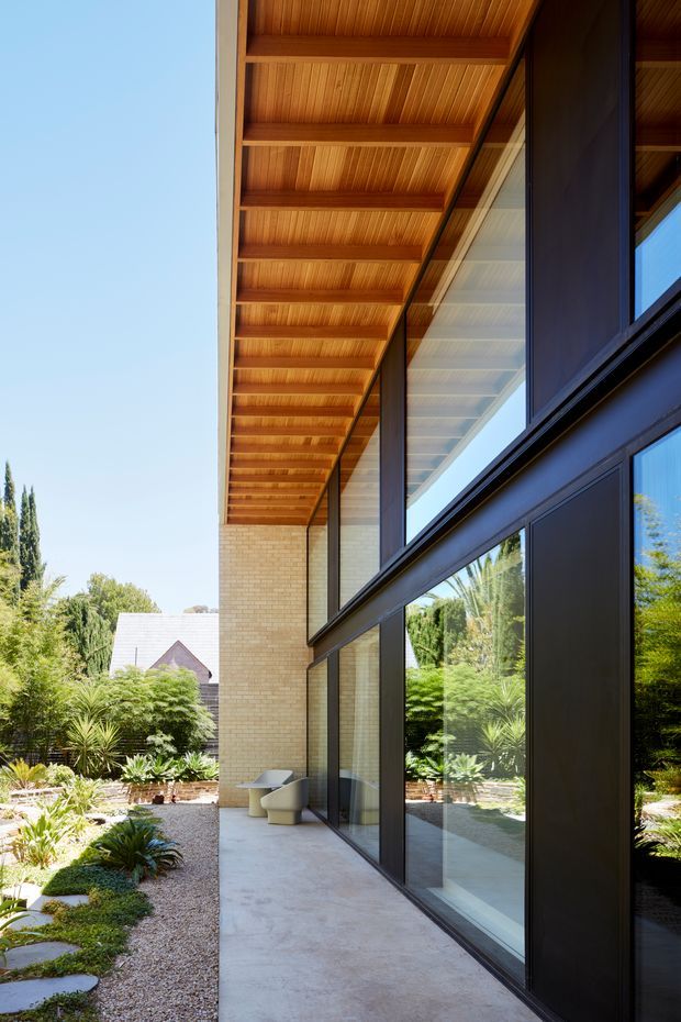 A bright exterior architectural view along a covered terrace or walkway beside a contemporary house. The long projecting canopy has exposed timber beams and timber lining, while full-height dark-framed glazing reflects the landscaped garden. Pale brick walls, a smooth concrete terrace, gravel garden beds, sculptural planting, and outdoor lounge chairs are visible. The composition emphasises the deep eave, vertical glazing, and connection between the building and garden.