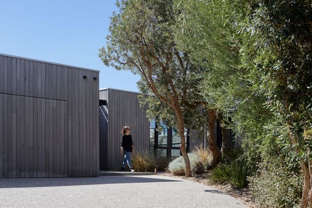 A low, modern single-storey building viewed from a landscaped gravel forecourt. The facade is clad in dark vertical timber boards with simple rectangular volumes and dark-framed glazing partially screened by mature trees and drought-tolerant planting. A person provides scale near the recessed entry.