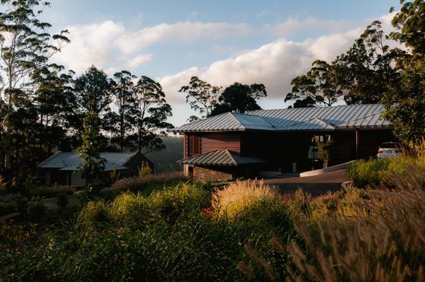 Exterior view of a contemporary single-storey home set among tall native trees and landscaped grasses on a sloping site. The building features dark timber cladding, broad corrugated metal gabled roof forms, deep roof overhangs, and a sheltered recessed entry or outdoor area. A smaller matching outbuilding is visible to the left.