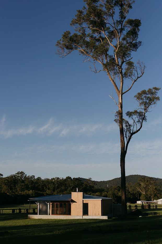 A small single-storey rural dwelling set in an open grassy landscape, photographed beneath a very tall eucalyptus tree. The house has a simple low-pitched dark metal roof, timber-clad facade, extensive glazed doors or windows, and a compact rectangular form. Forested hills and pasture surround the building under a clear blue sky.