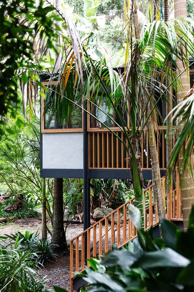 Exterior view of a compact elevated dwelling or pavilion nestled within dense tropical vegetation. The structure features dark painted framing, pale rendered wall panels, timber-framed glazing, vertical timber balustrades, and an external timber stair. Lush palms and understory planting partially screen the building, creating an integrated forest setting.