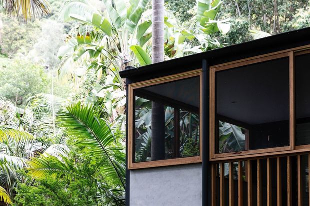 Close exterior view of a contemporary tropical building partially surrounded by dense lush vegetation. The facade combines dark painted wall surfaces, a deep black roof edge, timber-framed glazing, and vertical timber screening. Reflections in the windows reveal structural posts and the surrounding greenery.