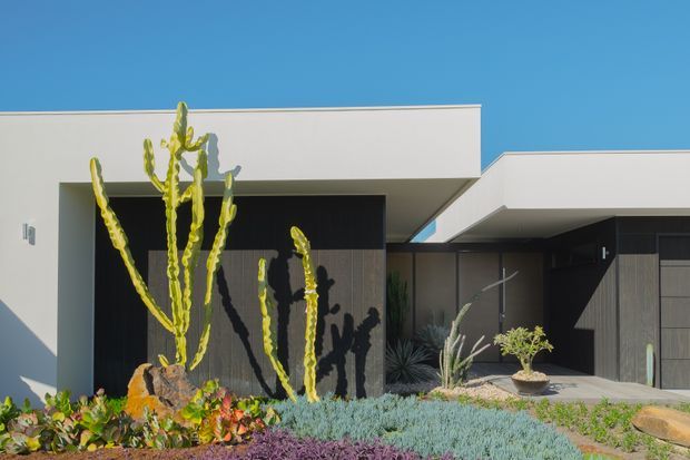 Exterior view of a low, flat-roofed contemporary residence with crisp white rendered wall planes, dark recessed entry and garage-like openings, and a drought-tolerant desert landscape featuring tall columnar cacti, succulents, gravel, and sculptural planting. The image is photographed from the front garden under a clear blue sky.