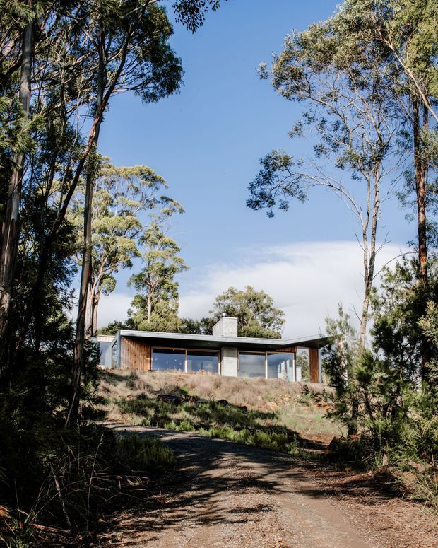 Exterior view of a low, modern single-storey house set among tall eucalyptus trees and native bush on a gently sloping site. The home has a simple flat roof, broad glazed openings, a concrete chimney or masonry element, and warm timber cladding. A gravel or dirt access path leads toward the house through the landscaped woodland setting.