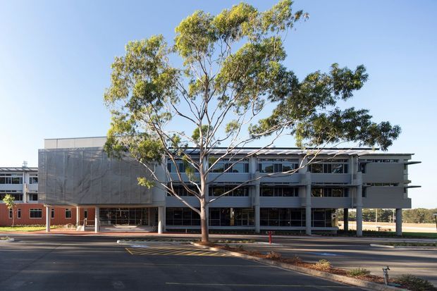 Exterior view of a contemporary multi-storey institutional or commercial building, with a long horizontal facade, extensive glazing, projecting upper levels, a flat or very shallow roofline, and an open ground-level frontage supported by columns. A mature tree occupies the foreground, with paved parking and roadway visible in front.
