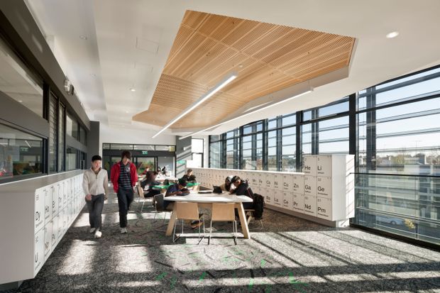 Bright contemporary educational or commercial interior resembling a study lounge or collaborative workspace. The open-plan area contains shared tables, chairs, people working, extensive floor-to-ceiling glazing, and built-in white cabinetry or partitions decorated with periodic-table-style symbols. A large suspended slatted timber ceiling feature with integrated linear lighting forms the main architectural focal point. The space has dark carpet flooring, white walls and joinery, and strong daylight with urban views beyond the windows.