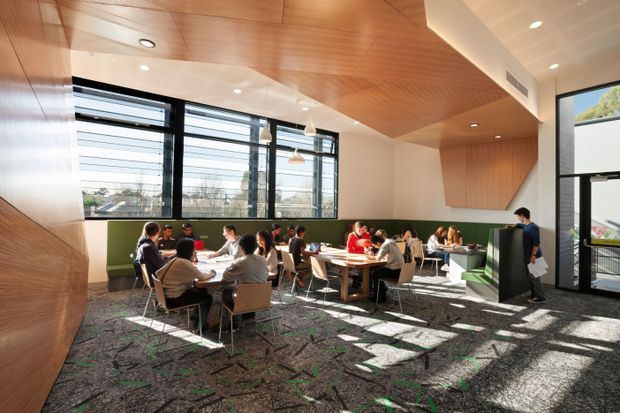 Bright contemporary communal interior with multiple groups seated at tables, likely a student dining or cafeteria space. The room features extensive black-framed glazing, warm timber wall and ceiling lining, white walls, green upholstered banquette seating, pendant lights, and dark patterned carpet. Strong sunlight creates geometric shadows across the floor.