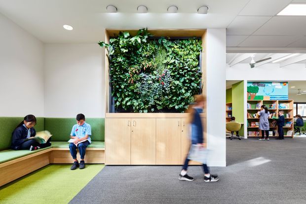 A bright contemporary educational interior, likely a school library or learning commons. The foreground features built-in light timber bench seating with green upholstery and a large framed living plant wall above integrated storage cabinetry. Students are seated and walking through the space, while an open library area with shelving, tables, and a colourful digital display is visible in the background. The room has carpeted flooring, white walls and ceilings, recessed and track lighting, and a partially exposed structural ceiling beyond the main area.