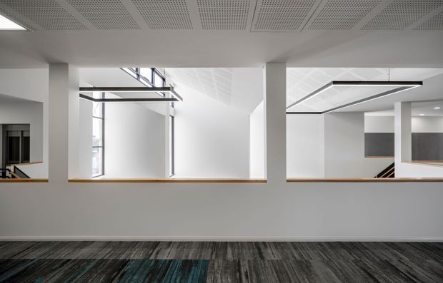 A bright, minimalist institutional or commercial interior with an open-plan layout viewed across a half-height white partition. The space features exposed white structural columns, large glazed openings, linear black pendant lighting, a perforated acoustic ceiling, and dark timber-look flooring with subtle blue-grey tones. A stair and additional open workspace areas are visible beyond the partition.