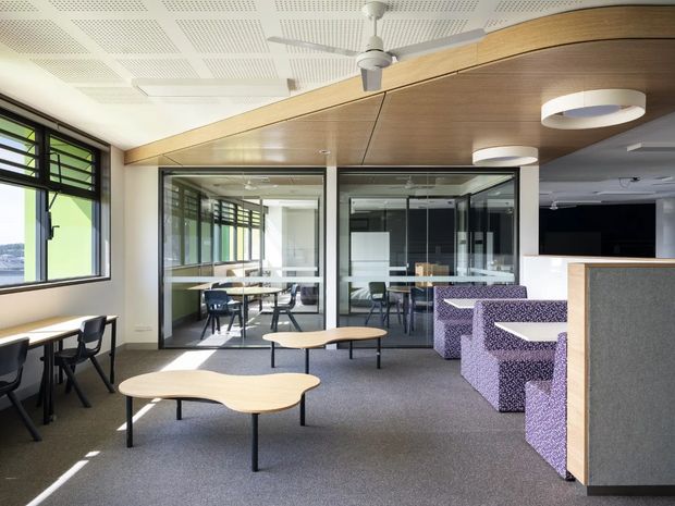 A bright contemporary commercial interior, likely a school, office, or collaborative learning space. The open lounge area has grey carpet, pale timber organic-shaped coffee tables, black-framed chairs, and purple upholstered booth seating beside a reception or service counter. Glazed meeting rooms with black-framed partitions sit at the rear, while large windows provide daylight. The ceiling combines acoustic perforated panels with a warm timber-lined bulkhead, suspended ring lights, and ceiling fans.