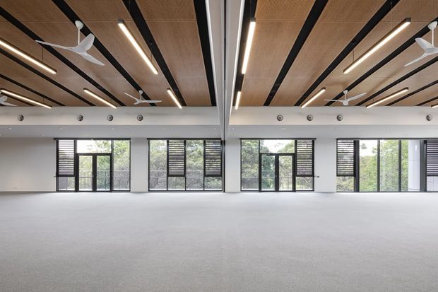 A large, open-plan commercial interior with a high ceiling, exposed dark structural beams, warm timber acoustic ceiling panels, linear strip lighting, and multiple white ceiling fans. The space has pale grey carpet, white walls, and extensive floor-to-ceiling glazing with dark framed doors and windows fitted with horizontal louvres. It appears to be a bright, flexible office, studio, or commercial workspace.