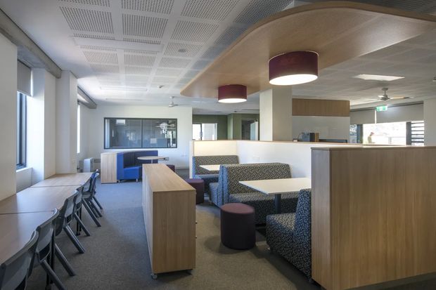 Bright contemporary commercial interior with an open-plan breakout and dining area. The space features upholstered booth seating, small tables, stools, a long window-side counter with chairs, timber-look partition cabinetry, white walls, patterned acoustic ceiling panels, and a curved timber ceiling bulkhead with suspended cylindrical pendant lights.