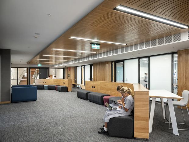 A modern commercial interior, likely an educational or office space, with an open lounge and study area. The room features grey carpet, timber wall panelling and built-in seating, extensive internal glazing, white worktables, dark upholstered sofas, linear LED lighting, and a slatted timber ceiling with integrated ventilation grilles. A person is seated using a laptop, while additional collaborative areas and circulation space extend into the background.