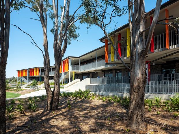 Exterior view of a contemporary multi-storey building set among mature eucalyptus trees. The facade features long covered walkways, extensive metal balustrades, exposed concrete stairs and platforms, dark brickwork, and vivid vertical orange, red, and yellow sun-shading panels. The landscaped foreground includes native-style planting and shaded garden beds.