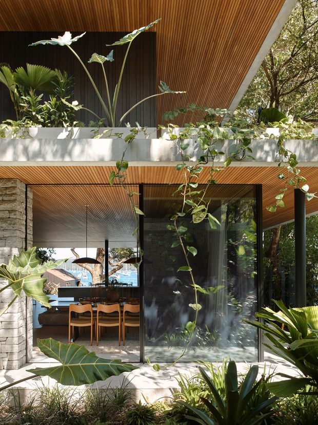 A tropical, foliage-filled view of a modern residential house with a strong indoor–outdoor connection. Warm timber slatted soffits extend across the facade and covered terrace, contrasting with dark vertical wall cladding, rough stone masonry, and slim black-framed glazing. The lower level opens to a dining area with a timber table and chairs, while lush planting fills the foreground and an elevated planter separates the levels. The image is a vertically composed architectural photograph with a split-level or multi-storey appearance and abundant natural light.