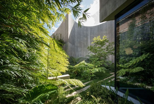 A lush, enclosed courtyard garden beside a contemporary concrete building. Dense tropical and fern planting fills the foreground, while curved raw concrete walls and large dark-framed reflective glazing create a secluded, tranquil architectural setting.