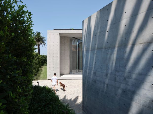 Exterior view of a minimalist modern concrete residence, showing tall board-formed or smooth concrete walls, a recessed glazed entry, pale paved courtyard, and landscaped screening planting. Strong sunlight casts tree shadows across the concrete facade. A person and dog provide scale.