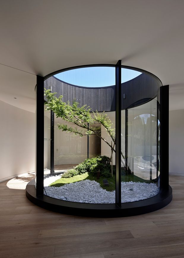 Interior view of a sculptural circular glass-enclosed courtyard or atrium. Curved black metal framing and glazing surround a minimalist Japanese-inspired garden with white gravel, clipped greenery, and a small tree. The atrium has a dark curved vertical-clad upper wall open to blue sky, while the surrounding room features pale walls and wide light timber flooring.
