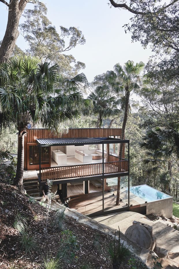 A modern multi-level house integrated into a steep, densely vegetated bushland site. The home features extensive floor-to-ceiling glazing, dark metal framing, warm timber cladding and decking, open balconies, and a small swimming pool on a lower terrace. Stone and concrete steps descend through the landscaped slope, while mature palms and native trees surround the building.