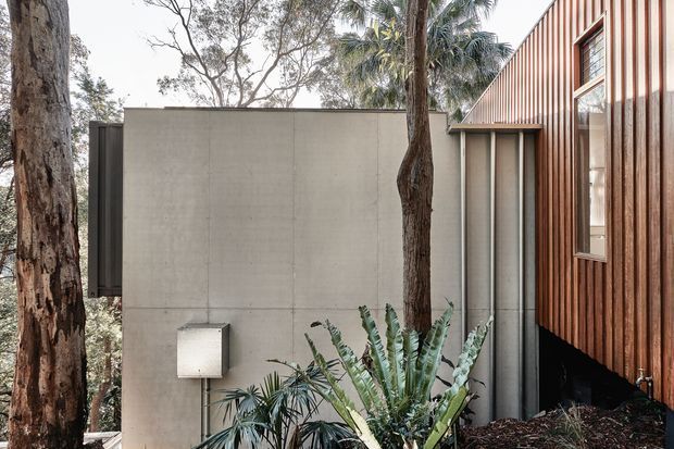 Exterior view of a contemporary building integrated among mature trees and tropical planting. The composition shows a smooth light-grey concrete wall, a dark metal vertical element, and a raised timber-clad volume with strong vertical battens and a tall window. The structure has a restrained, natural material palette and appears elevated slightly above a landscaped site.