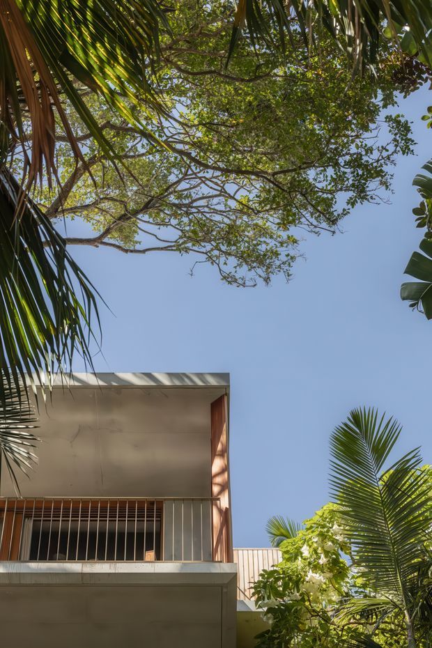 Upward-looking architectural exterior photograph of a modern, boxy building partially framed by tropical palms and leafy trees against a clear blue sky. The facade features smooth pale rendered walls, a projecting flat roof or slab, a recessed upper-level balcony with slender vertical metal balustrades, and warm timber detailing at the side. Lush vegetation surrounds the building, creating a tropical, shaded setting.
