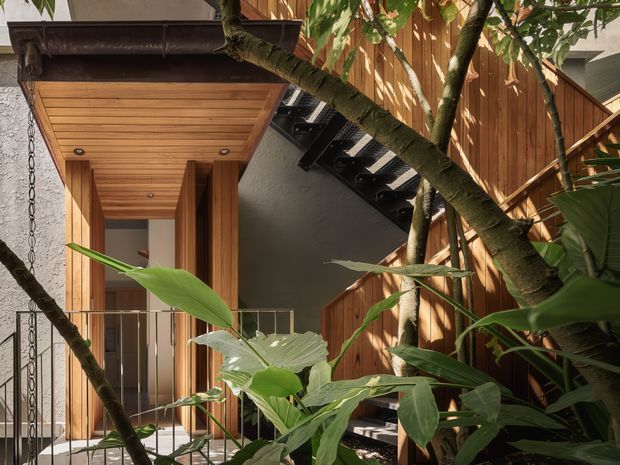 A compact, lushly planted courtyard or entry passage between timber-clad building elements. Warm timber lining forms a covered entry canopy, with a glazed or open doorway behind a simple metal balustrade. A dark external stair rises through the space, while mature tropical foliage frames the view. The architecture has a warm contemporary, indoor-outdoor character with strong vertical timber screening and contrasting dark metal details.