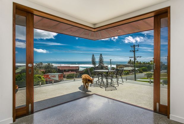 A bright interior opening onto a broad coastal terrace through fully opened timber-framed glazed doors. The polished floor and angled corner glazing frame ocean views, nearby rooftops, outdoor dining furniture, and a dog on the terrace. The space feels like a living or dining area connected to an outdoor entertaining area.