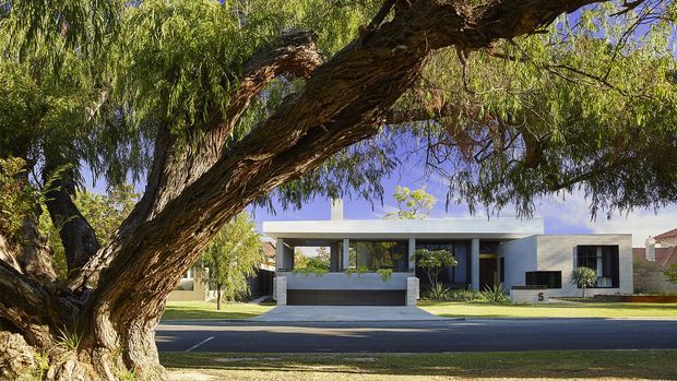 Street-facing view of a low, contemporary single-storey residence framed by a large mature tree. The home has a clean white and grey rendered facade, strong horizontal roofline, deep sheltered entry or carport-like opening, dark window and door frames, and minimalist landscaped garden beds. The image is taken from across a quiet suburban street.