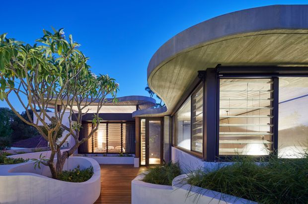 A modern single-storey residence with sweeping curved concrete roof forms, extensive louvred glazing, dark window frames, and timber decking. Curved white rendered planter walls and landscaped grasses frame the entrance and walkway, while mature frangipani trees add a tropical garden character. The image is photographed at dusk with warm interior lighting contrasting against a deep blue sky.