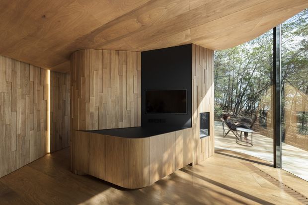 A warm, compact contemporary living space wrapped in natural timber panelling and flooring. A curved built-in timber media wall and cabinetry form the focal point, with a black television surround and projecting dark countertop or shelf. Full-height glazing opens to a wooded outdoor setting and lets in strong natural light. The space has a sculptural, highly integrated built-in design with a calm, refined atmosphere.