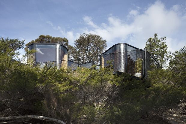 Exterior view of a contemporary building set among dense native bush on a sloping site. The structure features curved metallic-clad volumes, extensive dark framed glazing, and perforated or mesh screening integrated into the facade and elevated above the vegetation.