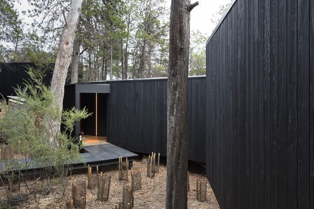 Exterior view of a contemporary black-clad building or pavilion set among mature trees, with a dark timber walkway leading to a recessed entrance. The vertical charred-looking cladding and low, minimalist forms contrast with the natural woodland setting.