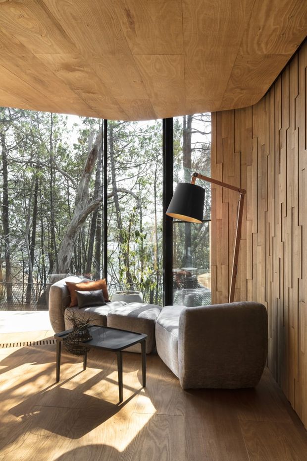 A warm, contemporary living room surrounded by trees, featuring a large curved timber-clad ceiling, floor-to-ceiling black-framed glazing, a sculptural timber feature wall, pale timber flooring, a plush neutral sectional sofa, and a black coffee table. A black and timber wall lamp provides a strong accent beside the seating area.