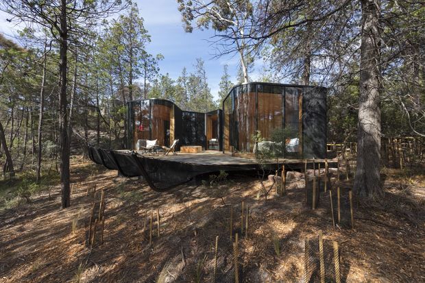 A compact contemporary cabin nestled among mature trees, with curved dark metal-clad forms, warm vertical timber wall panels, and a raised timber deck extending into the woodland. Outdoor seating and a small fire feature occupy the deck, while the surrounding forest setting creates a secluded retreat atmosphere.