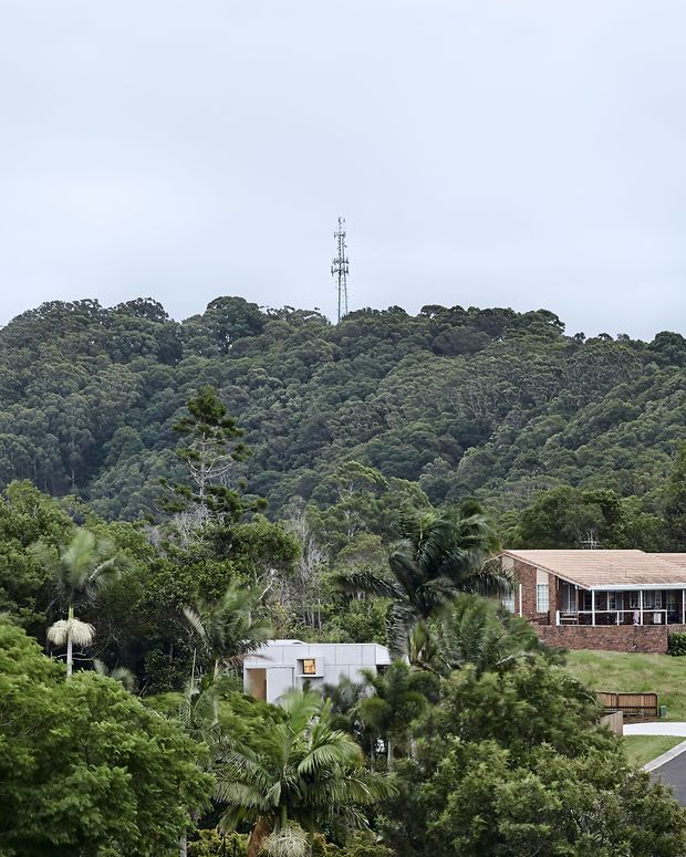Exterior view of a low-rise residential property partially screened by dense subtropical vegetation, with a forested hillside and communications mast in the background. The visible building has a pale metal-clad section, a brick facade, a low-pitched roof, and extensive glazing. Overcast natural light and lush greenery dominate the scene.