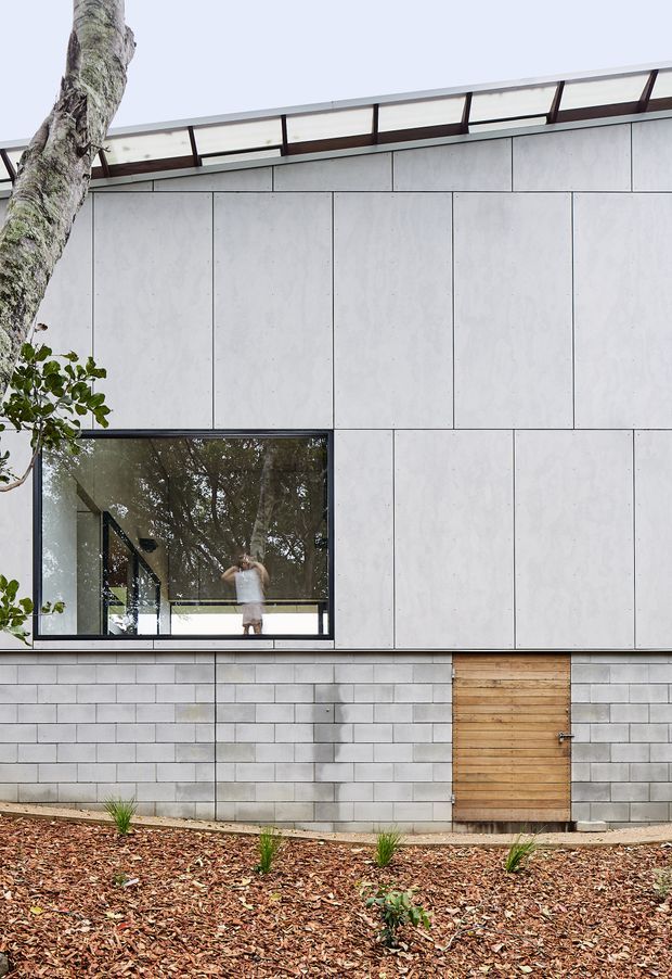 Exterior view of a contemporary low-rise building with a pale panel-clad upper facade, exposed concrete block masonry at the base, large black-framed window, and a horizontal timber door. The building has a shallow sloping roof with clerestory-style glazing beneath the eaves. A landscaped mulch bed and tree partially frame the foreground.