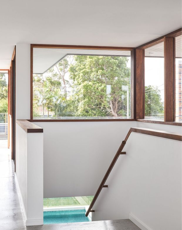 Bright contemporary stair landing with a timber handrail and timber-framed corner glazing. White walls and ceilings surround a stairwell descending toward a visible blue swimming pool, while leafy greenery is seen through the large windows. The image emphasizes the circulation space, natural light, and warm timber detailing.