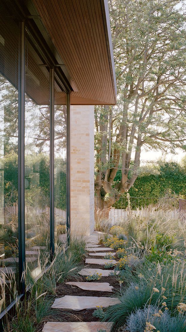 A landscaped exterior walkway alongside a contemporary building, featuring full-height dark-framed glazing, a warm timber-lined soffit, and a pale brick column. Irregular pale stone stepping slabs lead through ornamental grasses and low planting toward the entrance, with mature trees and dense greenery beyond.