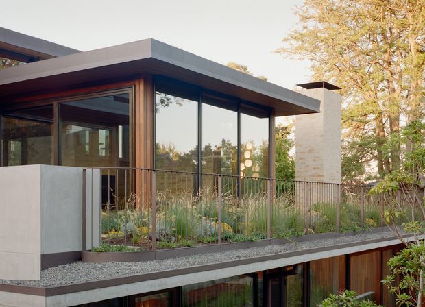 Exterior view of a contemporary multi-level home with a flat roof, extensive floor-to-ceiling glazing, warm timber framing and cladding, pale masonry walls, and a planted terrace enclosed by a slender dark metal balustrade. Mature trees surround the building.