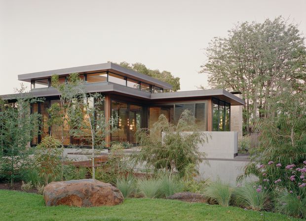 Contemporary low-slung residential house set within a landscaped garden. The home features broad flat roof planes, extensive glazing, dark slender window frames, warm timber-lined walls, and layered indoor-outdoor connections. Native-style grasses, shrubs, mature trees, and large rocks surround the building.